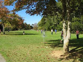 Disc Golf New Zealand Disc Golf New Zealand