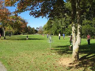 Disc Golf New Zealand