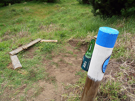 Disc Golf New Zealand