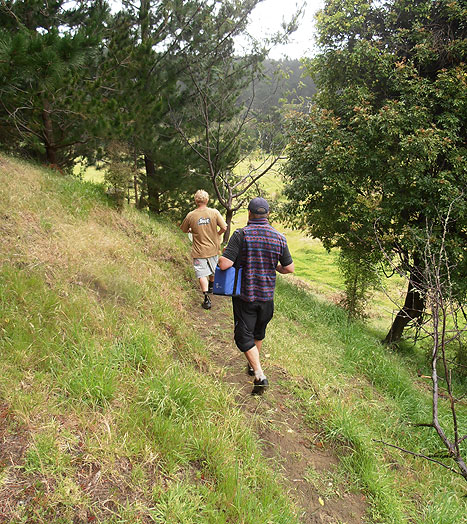 Disc Golf New Zealand