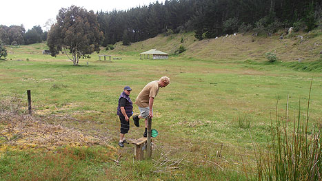 Disc Golf New Zealand