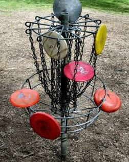 Disc Golf New Zealand