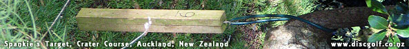 www.discgolf.co.nz